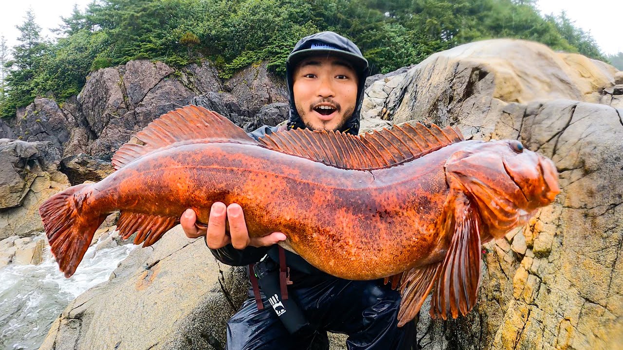 GREATEST CATCH AND COOK OF ALL TIME   Alaska Coastal Foraging, Red Lingcod, and Hot Springs