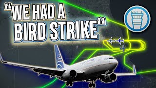 &quot;RIGHT OVER THE NUMBERS;&quot; Bird Strike at Chicago O&#39;Hare [ATC audio]