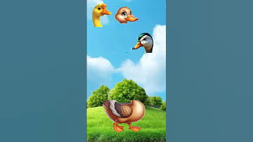 Assalam Walekum Shortvideo 