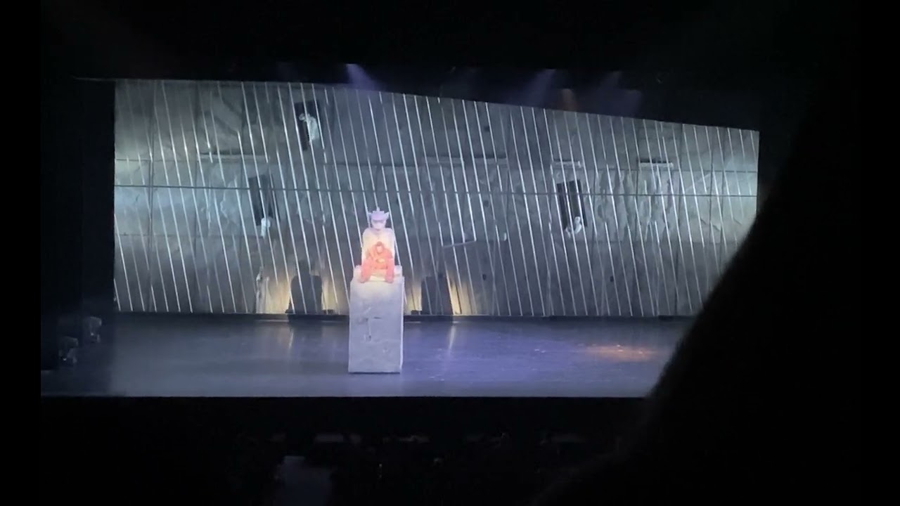 Notre-Dame de Paris - Ali in gabbia, occhi selvaggi 14.05.22