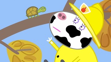Peppa Pig Full Episodes |Naughty Tortoise #104