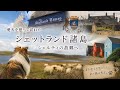 【亡き愛犬を想い】北の果てにあるシェルティの故郷 シェットランド諸島を尋ねた。2018年動画
