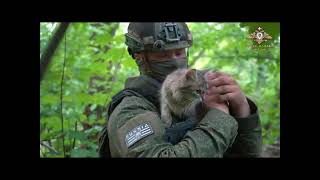 Российские солдаты и коты
