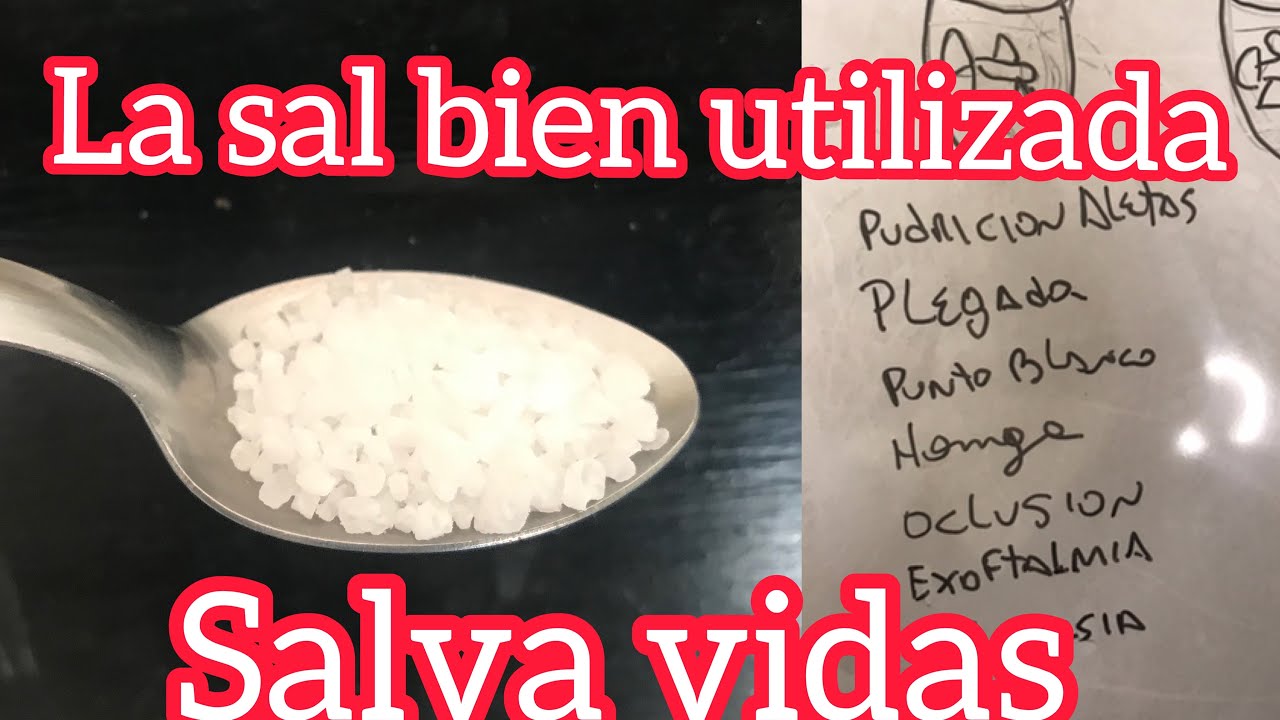 Tutorials método Bettaclubargentina Como curar al pez Betta con Sal