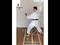 Sko karate wr ashi waza  tai sabaki shotokan karate