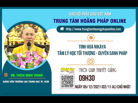 Video: Nhà Tâm Lý Học Của Riêng Tôi