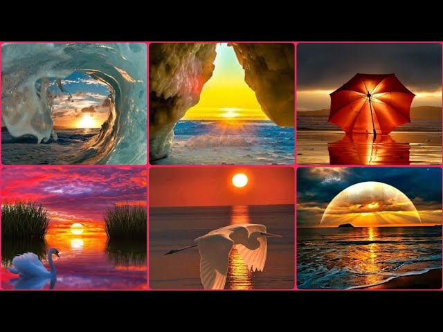 Perfect Sunset 👌🌅 - Profile Pic & WhatsApp Status