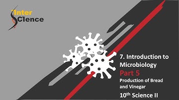 7. Introduction to Microbiology/ part 5 / science 2/ class 10 / Production of Bread and Vinegar