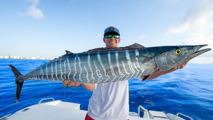 How to Catch DEEP SEA WAHOO While Saltwater Trolling! (Weed Line