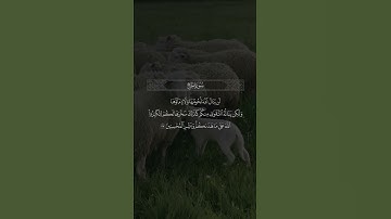 ﴿ لن ينال الله لحومها ولا دماؤها ولكن يناله التقوى منكم ﴾ القارئ عبدالله الموسى
