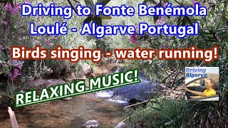 Driving to Fonte Benémola - Loulé (Portugal) Relaxing music with the sounds of Nature 7/2021 HD