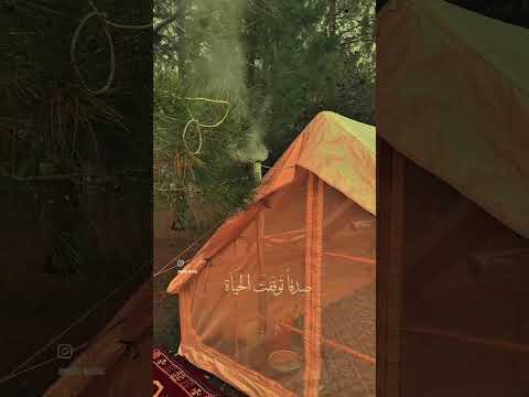 هل نلتقي فالبعد مزق خافقي