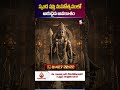 🔱 స్కంద షష్ఠి మహోత్సవంలో అరుదైన అవకాశం #SkandaShashti #subramanyahomam #short | SumanTV Geethanjali
