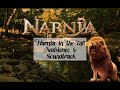 Narnia in Fall Ambience + Soundtrack (1hr, soundtrack, forest, creek)