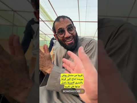 قرعة من إنتاج السعودية القصيم وزنها طن
