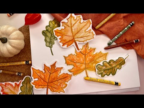 Video: Herbstlaub-Spitzenzeiten im Südosten