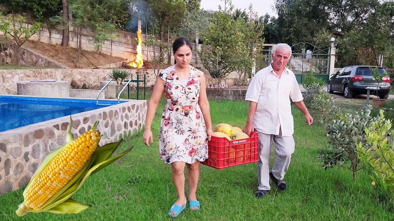 Vjelja e Pjeprit / Misra të Pjekur - Jeta në Fshat - Albanian Vilage Life