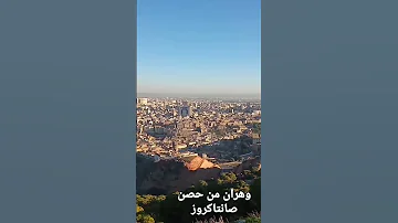 انشودة مصطفى مصطفى رنة هاتف 