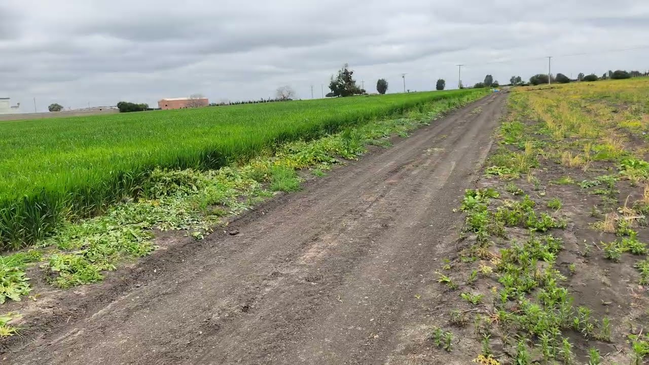 0661467850الارض محفظة هكتار و7000متر نواحي جماعة فضالات ابن سليمان 