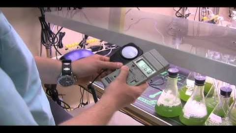 Growing algae for fuel: Getting started