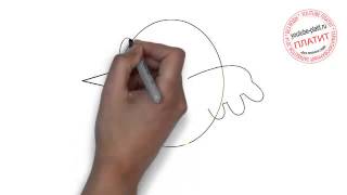 Как нарисовать летящую птицу(Как нарисовать летящую птицу поэтапно простым карандашом за короткий промежуток времени. Видео рассказыва..., 2014-06-25T14:08:13.000Z)