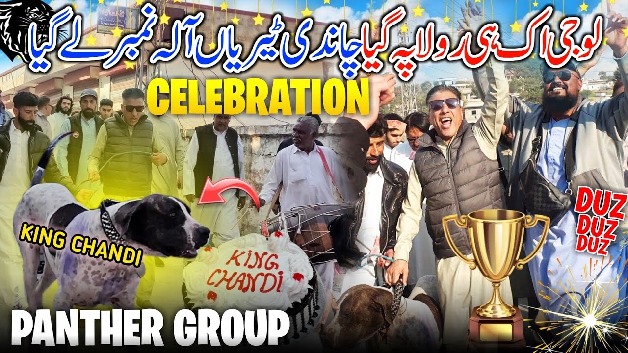 Panther Group Big Celebration 😍✨ Aya Kuta King Chandi Teriyan Ala ||Biggest Victory All Record Break