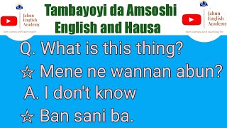Koyon Turanci: Questions and Answers in English and Hausa. screenshot 3