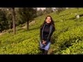 UH010 Dil Deewana Bin Sajna Ke Maane Na Maine Pyar Kiya mp3
