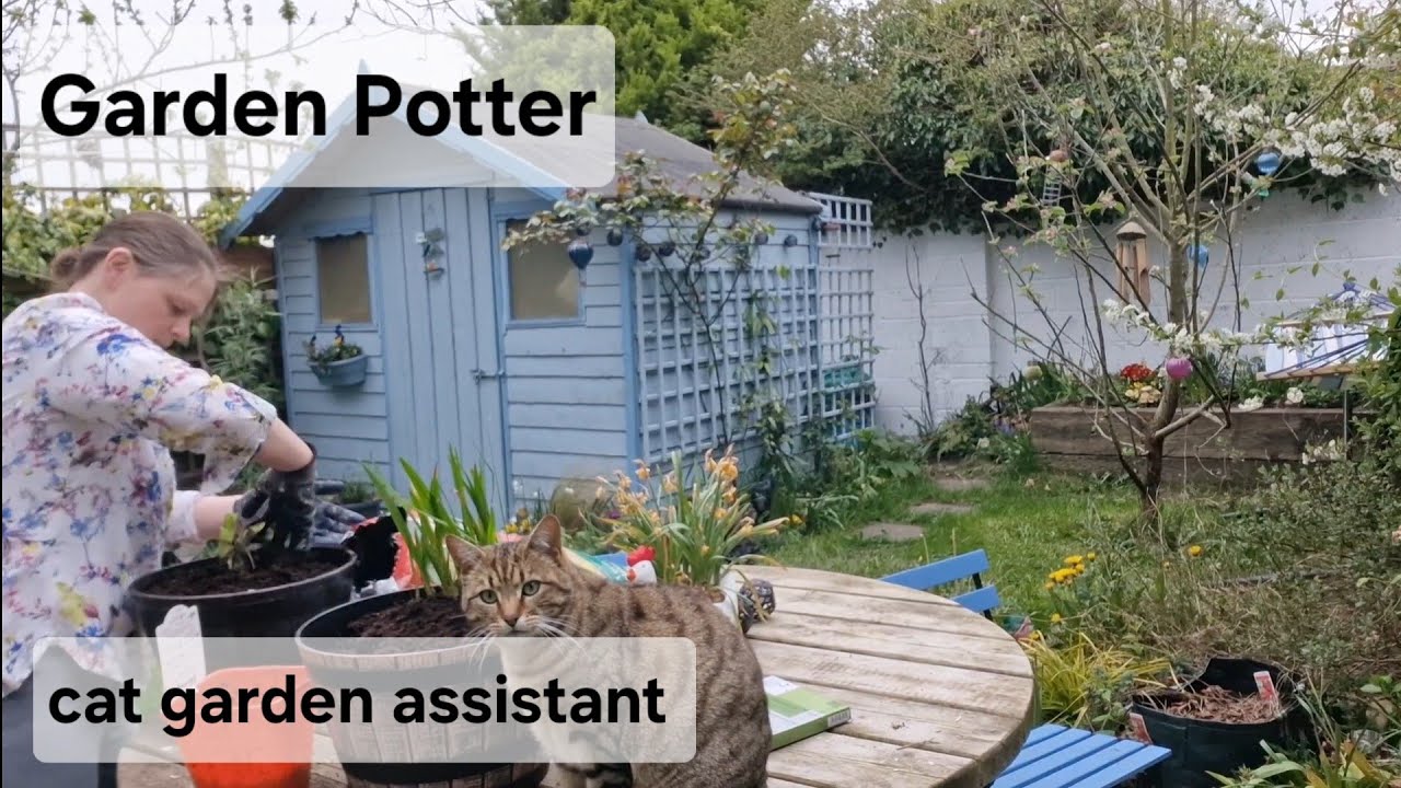 Garden Potter, cat garden assistant 😊