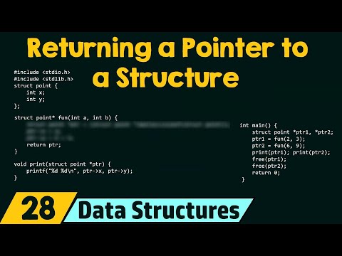 Structures and Functions