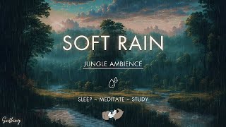 Soft Rain in the Jungle | NO ADS | Soothing Rain Sounds For Sleeping screenshot 3