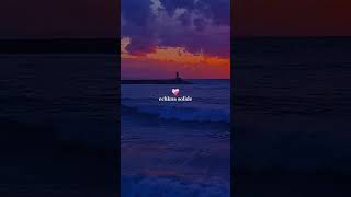 Cheb Akil - Lkhobz W Lma الشاب عقيل الخبز و الماء معاك يكفيني