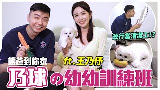 熊爸到你家Ep.14｜乃球の幼幼訓練班！幼犬飼料要泡軟？狂咬手腳停不下來！一上車就呻吟怎麼辦？ft.王乃伃｜@user-sh1cx8us5g