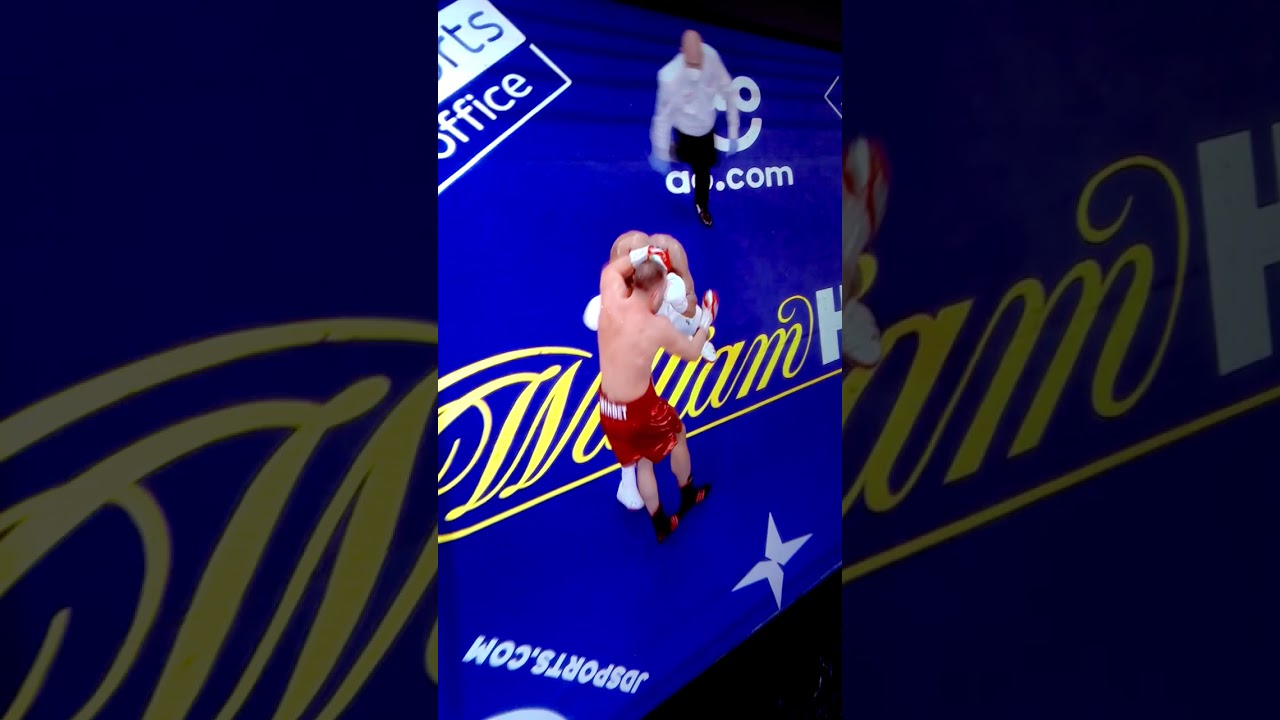 AJ knock out against Pulev 12.12.2012