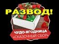 Клубничный ЛОХОТРОН! Супер способ развода людей, которые хотят вырастить клубнику. Belklubnika.by