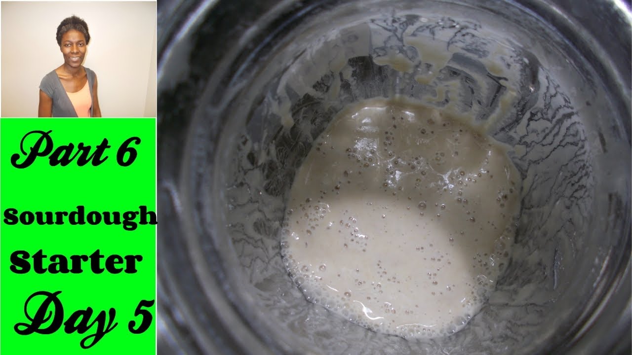 How To Make Sourdough Starter With Bleached Flour And Water Day 5 how-to-make-sourdough-starter-with-bleached-flour-and-water-day-5