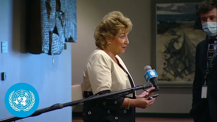 Security Council President on Libya & the Middle E...