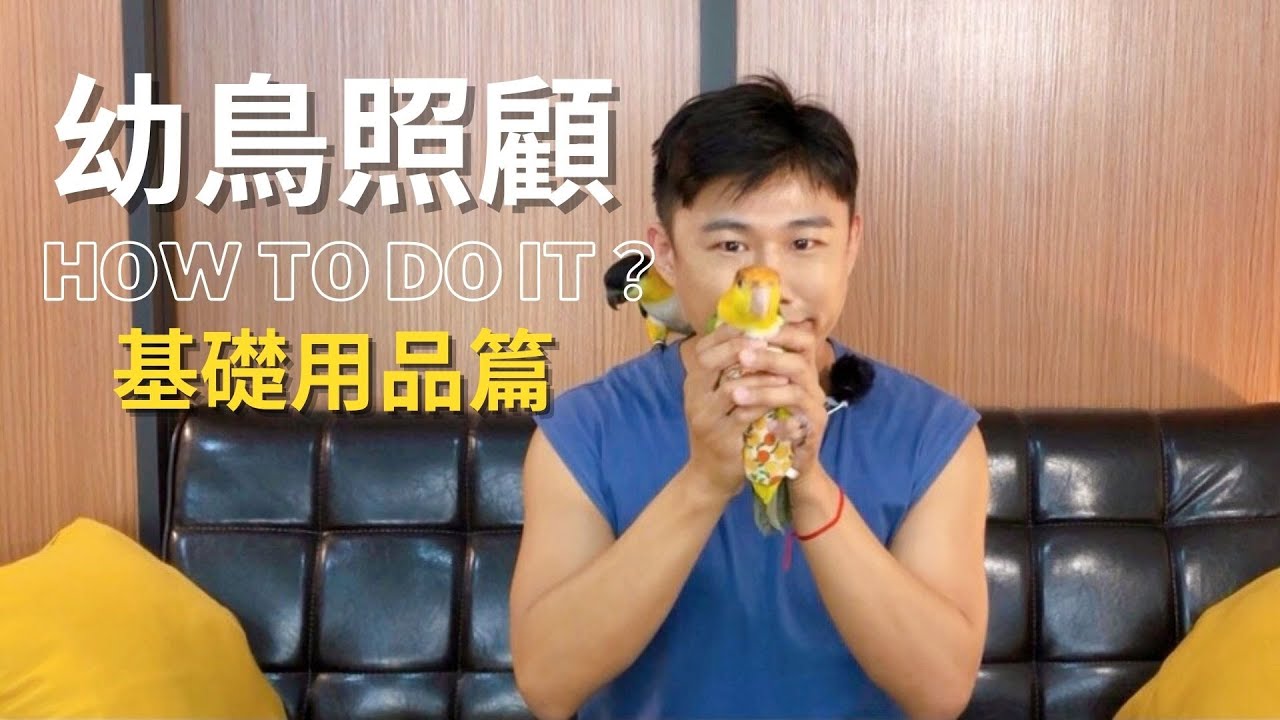 馬克先生鸚鵡教室 幼鳥照顧要準備什麼呢？