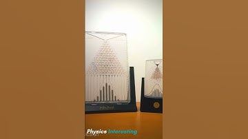 Physics Interesting Galton Boards Large & Small #shorts #science