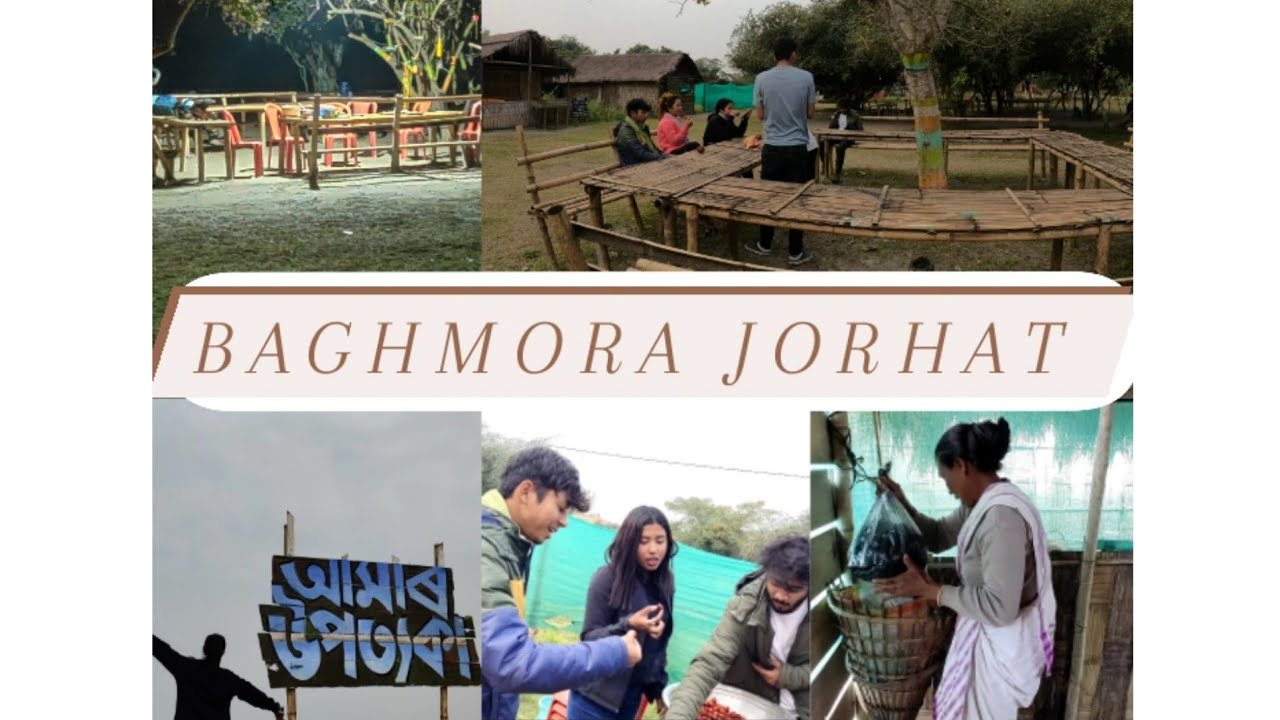 Baghmora jorhat🍁/adventure destination/Night stay 🌌