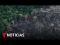 Las selvas tropicales cada vez están más amenazadas | Noticias Telemundo