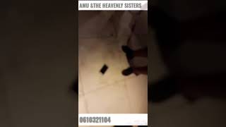 AMU AND THE HEAVENLY SISTERS lalela uku khala kwethu