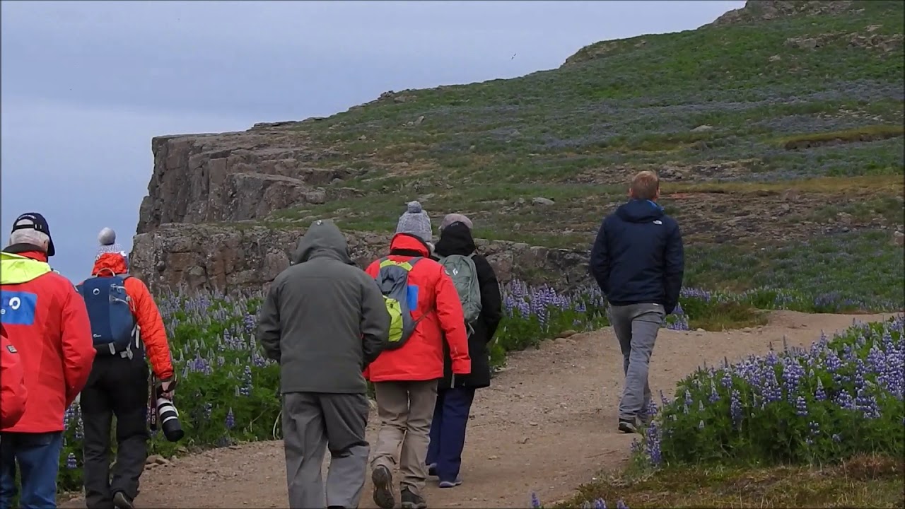 Skalanes Nature Reserve in Iceland — Skalanes — video poster