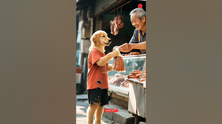 "एक था कुत्ता, हॉटडॉग बेच-बेच कर बन गया हीरो! 🐶🌭" l #richdog #shorts #kids #dog #cat #whatsappstatus
