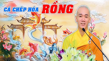Cá Chép hóa RỒNG và BÀI HỌC ý nghĩa cực kỳ SÂU SẮC của người THÀNH CÔNG Bí Quyết Thành Công