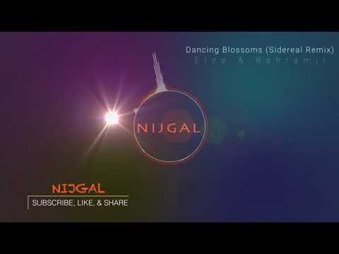 Elea & Bahramji  - Dancing Blossoms (Sidereal Remix)