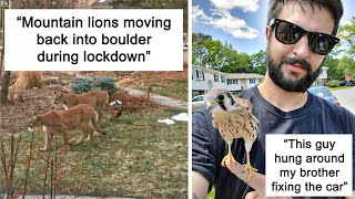 Surprising Wild Animal Encounters That Caught People Off Guard (New)