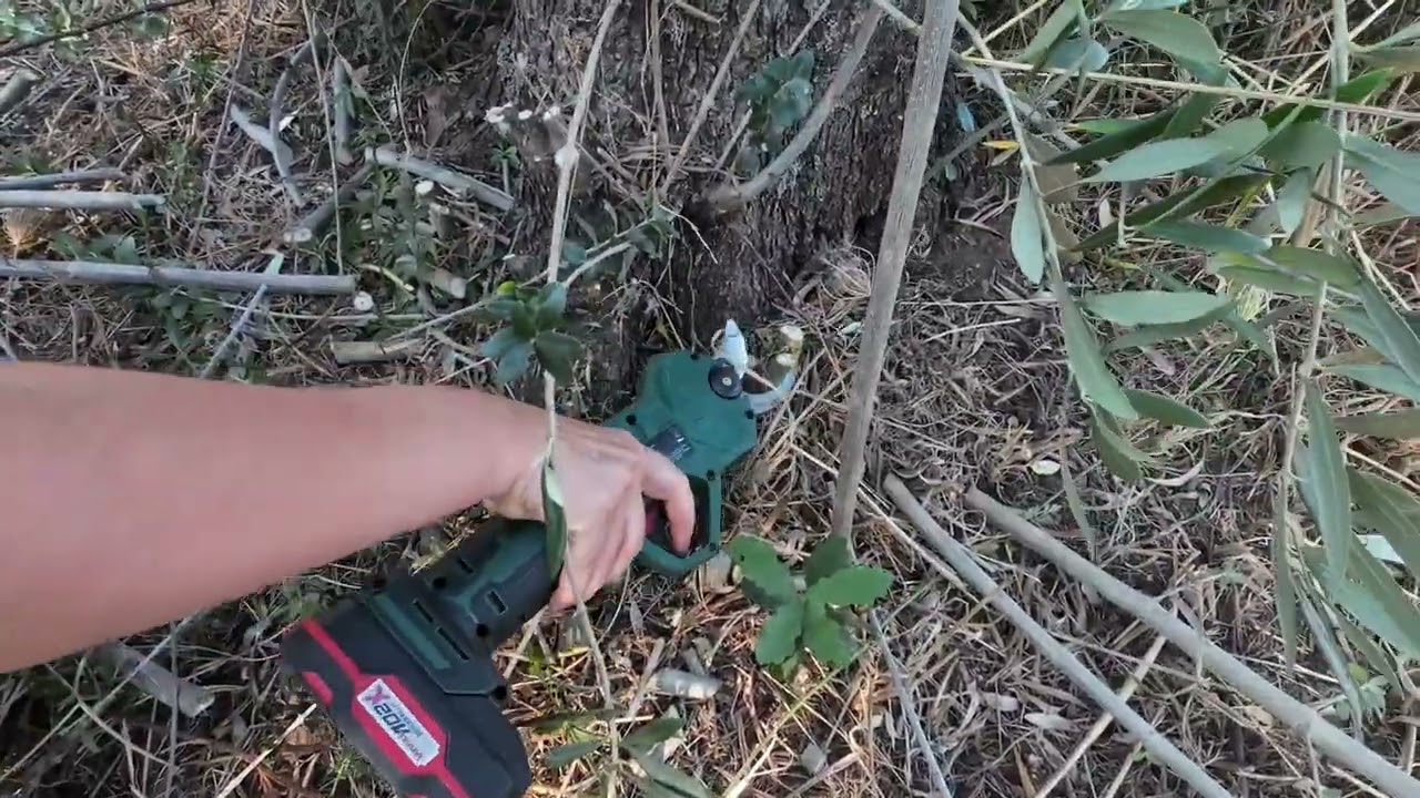 Cesoie forbici a batteria Parkside PAAS 20-Li Vs PROGREEN PGF 16,8 LI spollonatura olivi 2023