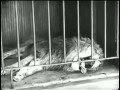 Ø Ø Ø Ù ÙŠ Ø Ø Ø Ù Ù Ù ØªØ Ø Ù Ø Ø ï Ù Ø Ø ÙŠØºÙŠØ Ø Ø Ø Ù ÙŠ Ø Ø Ø Ù Ù Ù ØªØ Ø Ù Ø Ø ï Ù Ø Ø ÙŠØºÙŠØ