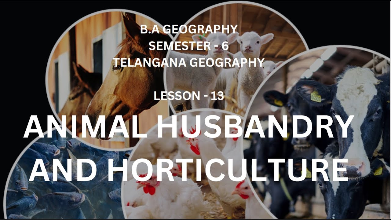 13 Animal husbandry and horticulture